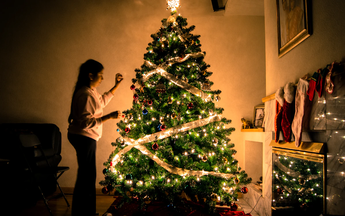 Winter wonderland — PrimeArt example